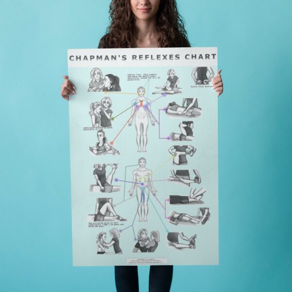 Image showing full body woman hands holding chapmans reflexes chart poster human anatomy