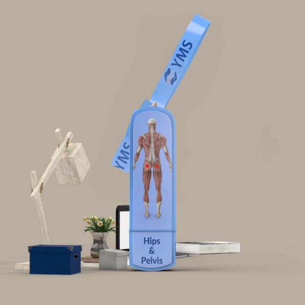 image showing hips and pelvis USB flashdrive english ebook, human anatomy, white desk lamp, blue box, green house plant, shoebox, wedding ring box, gift, OMG series