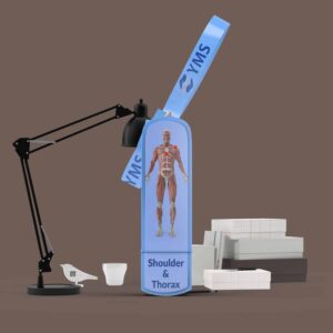 an image showing blue USB flash drive human anatomy shoulder and thorax english ebook OMG series with black desk lamp and white stack of paper