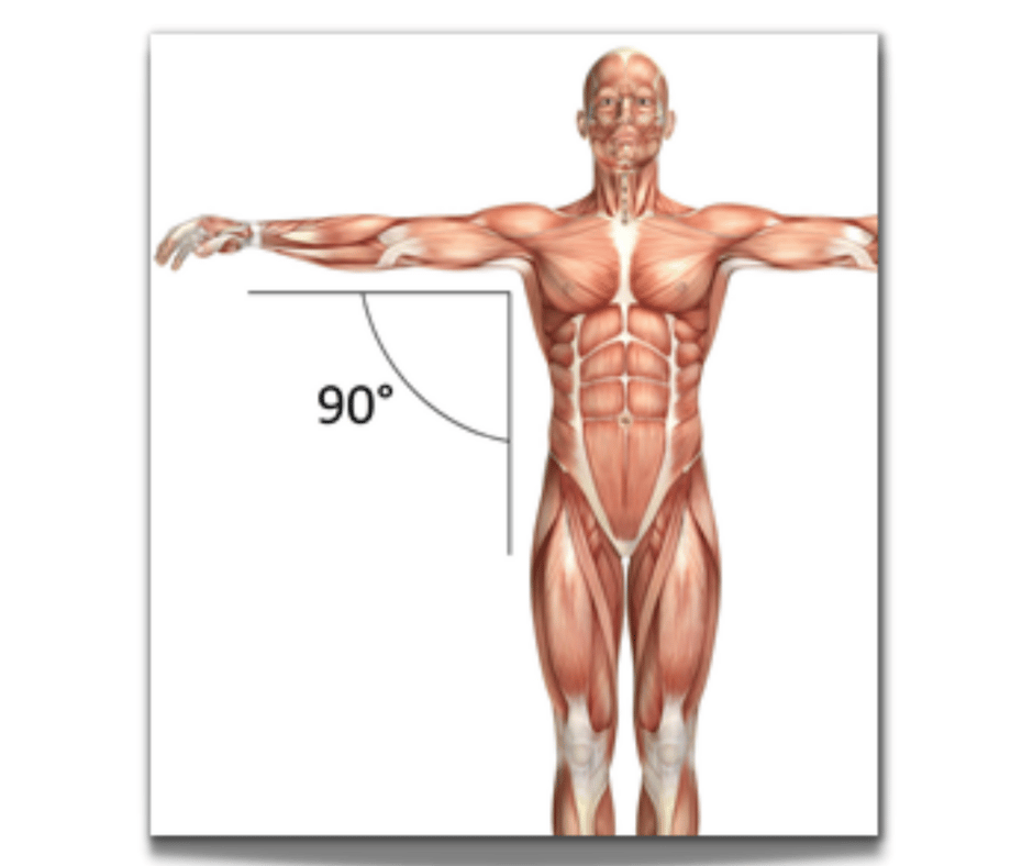 External rotation of the shoulder, natural range or passive range of motion ROM should be between 80 and 90° degrees-Chapsman Reflexes Blog Image
